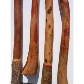 Didgeridoo Eucalyptus Glossed Unpainted