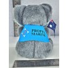 Koala Plush Toy 5″ in Logo Jacket