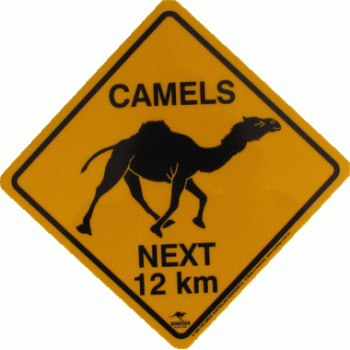 Large Camel Road Sign, 38x38cm