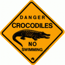 Large Crocodile Road Sign, 38x38cm