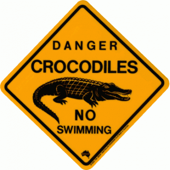 Large Crocodile Road Sign, 38x38cm