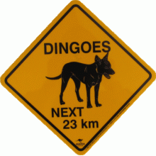 Large Dingo Road Sign, 38x38cm