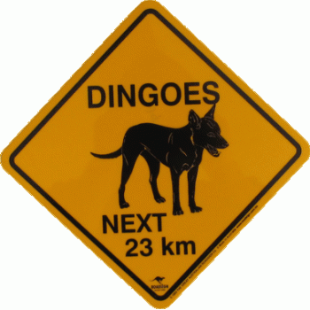 Large Dingo Road Sign, 38x38cm