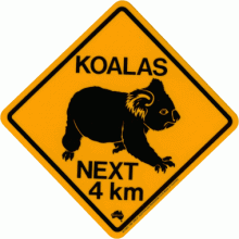 Koala Road Sign - Sticker, 8x8cm