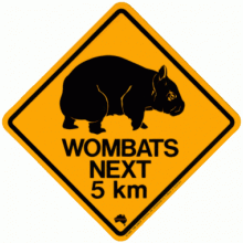 Wombat Road Sign - Magnet, 48x48mm