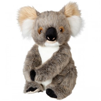 Koala Soft Toy. Real Looking Koala - 30cm