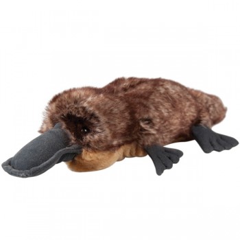 Platypus Soft Toy - Little Stickybeak - 35cm