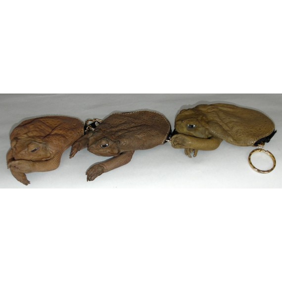 Miserable cane toad purse from Oz - One way to deal with i… | Flickr