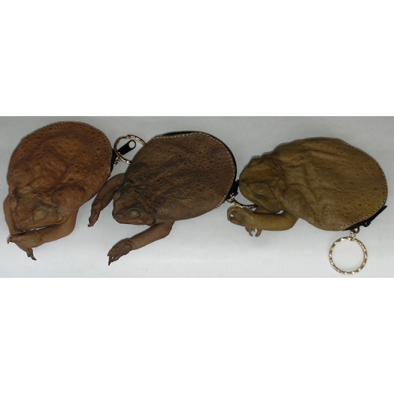New Exotic Bufo Marinus Cane Toad Body Zippered Coin Purse 5