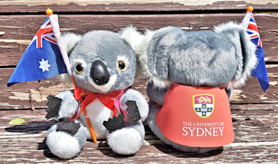 promotional koala toys in logo printed jackets, 4.5 inch