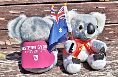Corporate koala toys in branded jackets, 5 inch