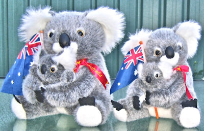Large stuffed koala toys in branded jackets